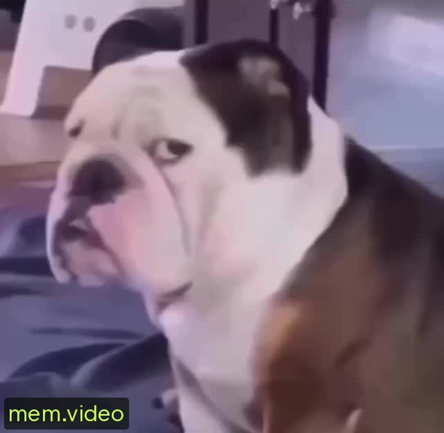 Кадр на 0:03
