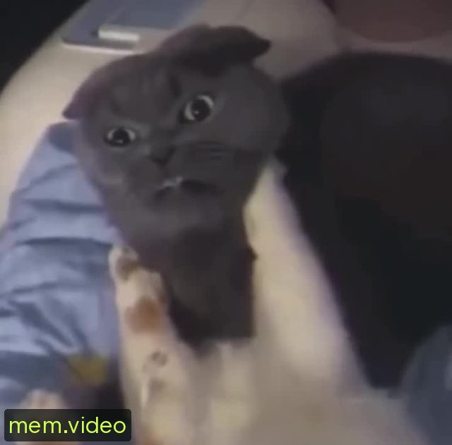 Кадр на 0:07