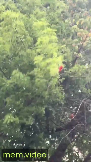 Кадр на 0:08