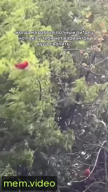 Кадр на 0:02