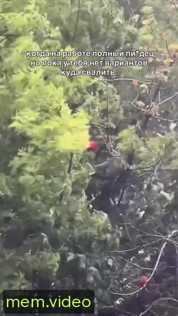 Кадр на 0:03