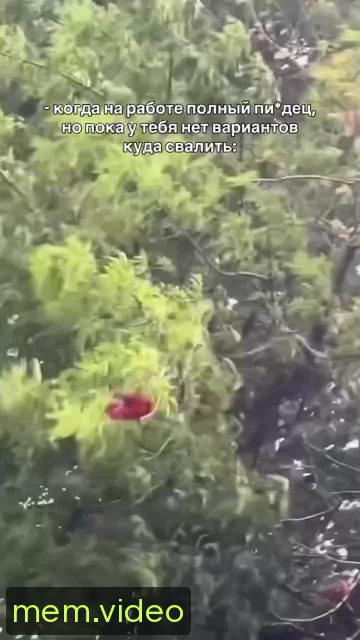 Кадр на 0:04