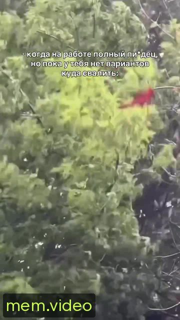 Кадр на 0:05