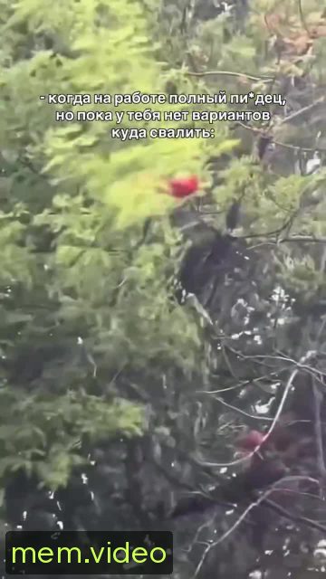 Кадр на 0:07