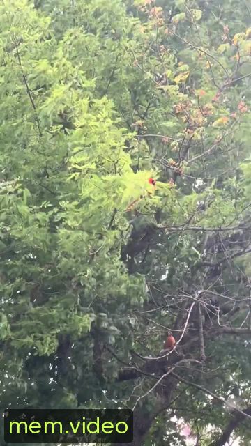 Кадр на 0:02
