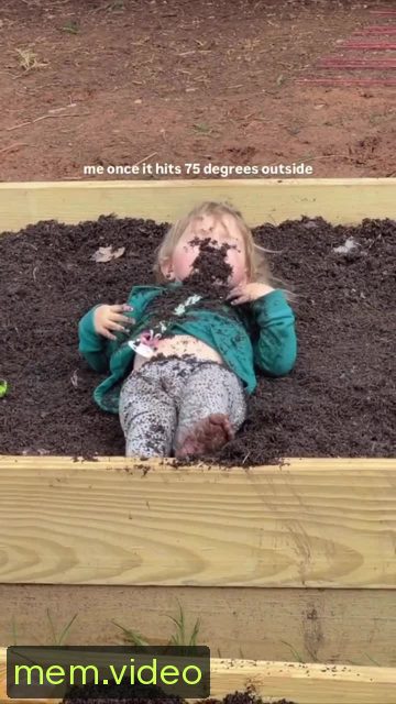 Кадр на 0:06