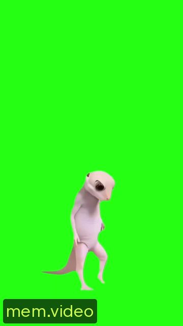 Кадр на 0:00