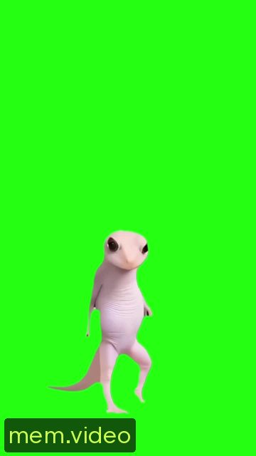 Кадр на 0:01