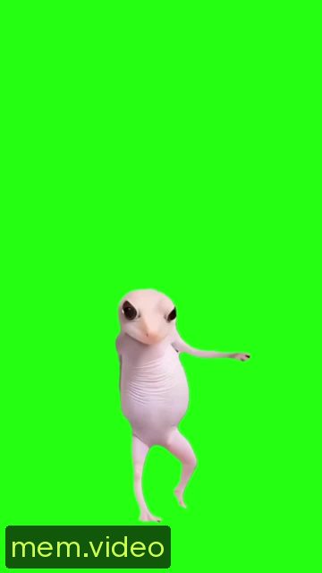 Кадр на 0:02