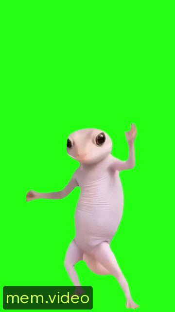 Кадр на 0:03
