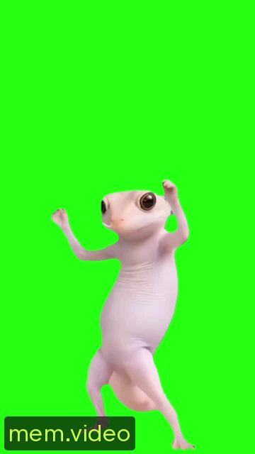 Кадр на 0:04