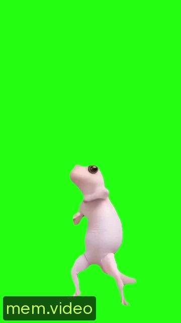 Кадр на 0:09