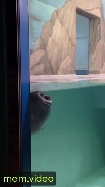 Кадр на 0:04