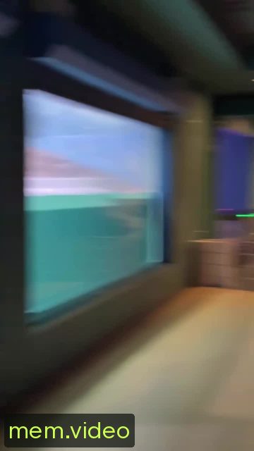 Кадр на 0:02