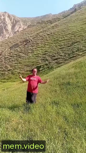 Кадр на 0:08