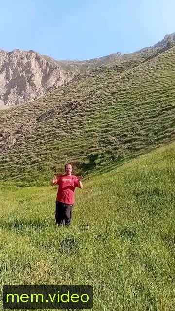 Кадр на 0:17