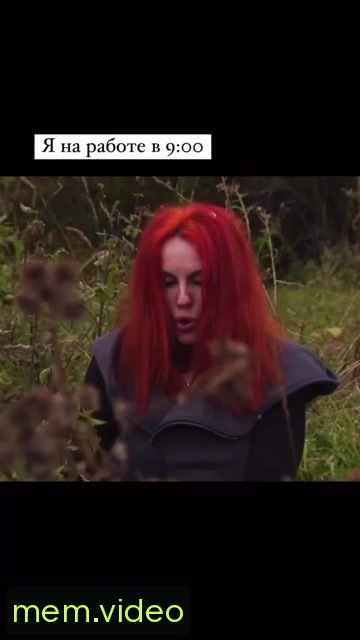 Кадр на 0:00