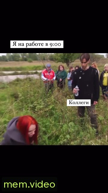Кадр на 0:12
