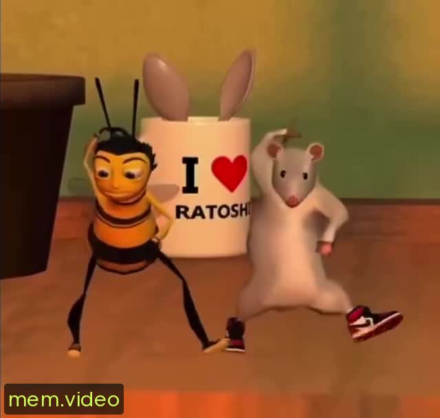Кадр на 0:05