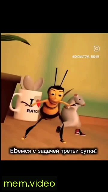 Кадр на 0:00