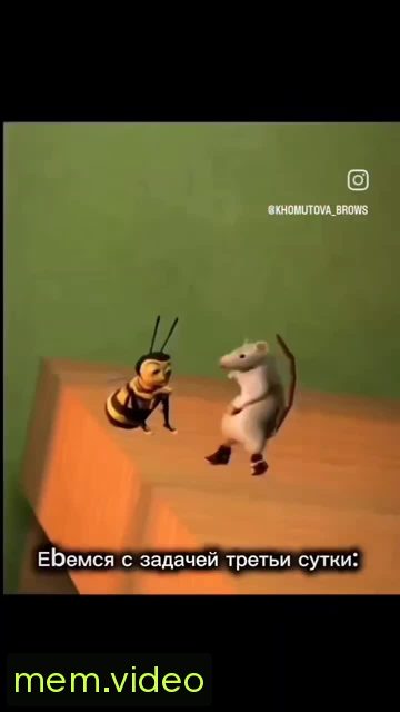 Кадр на 0:00