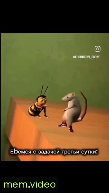 Кадр на 0:00