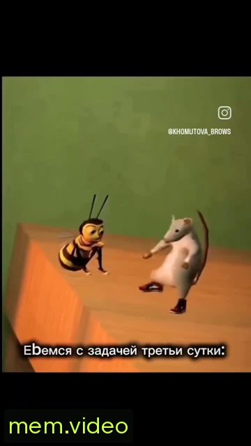 Кадр на 0:02