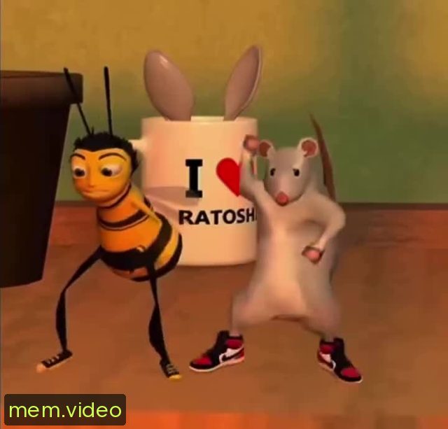 Кадр на 0:05
