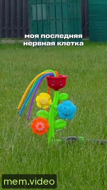 Кадр на 0:00