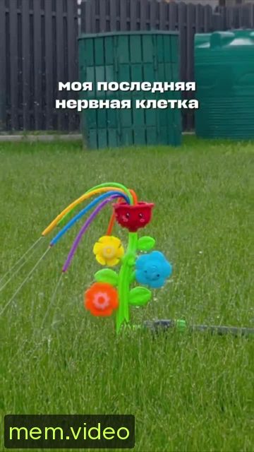 Кадр на 0:01