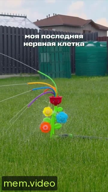 Кадр на 0:02