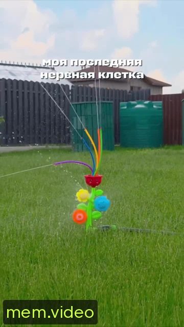 Кадр на 0:03