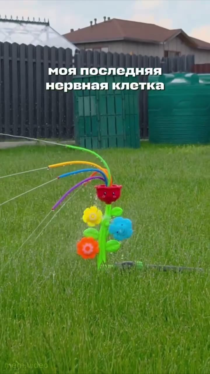 Кадр: «Mein Herz brennt!» — автополив в виде цветка бешено крутится