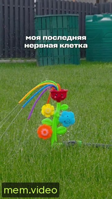 Кадр на 0:01
