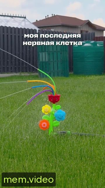 Кадр на 0:02