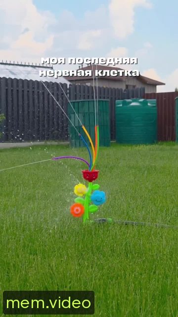 Кадр на 0:03