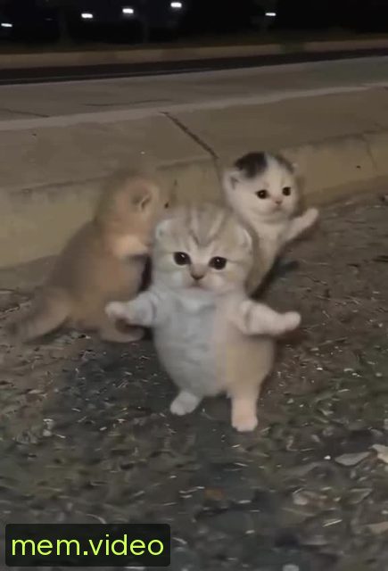Кадр на 0:07