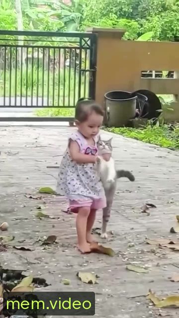 Кадр на 0:04