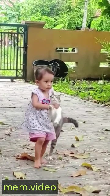 Кадр на 0:05
