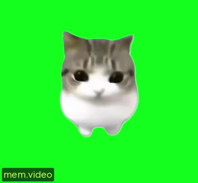 Кадр на 0:00