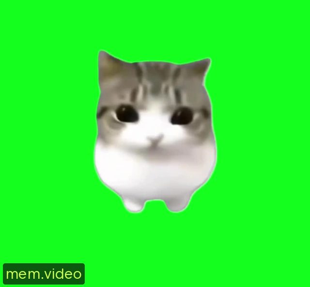 Кадр на 0:04