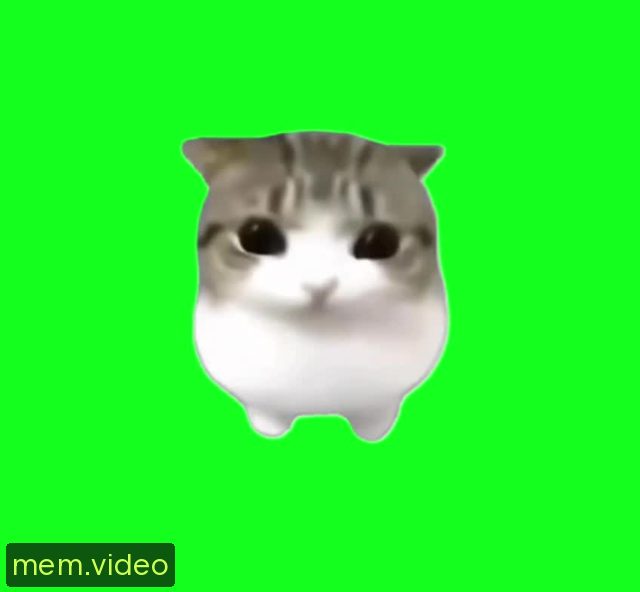 Кадр на 0:04