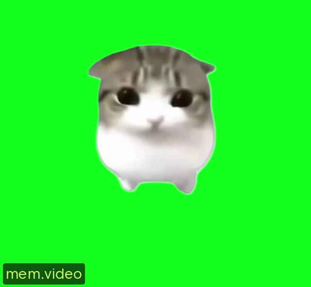 Кадр на 0:05