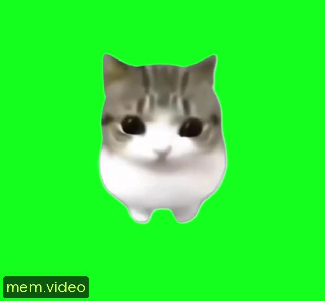 Кадр на 0:06