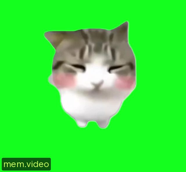 Кадр на 0:06