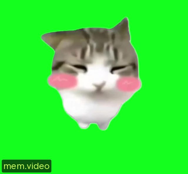 Кадр на 0:07