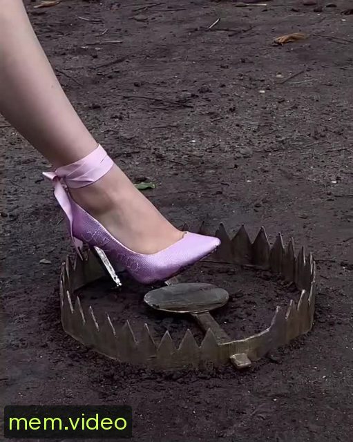 Кадр на 0:00