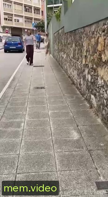 Кадр на 0:01