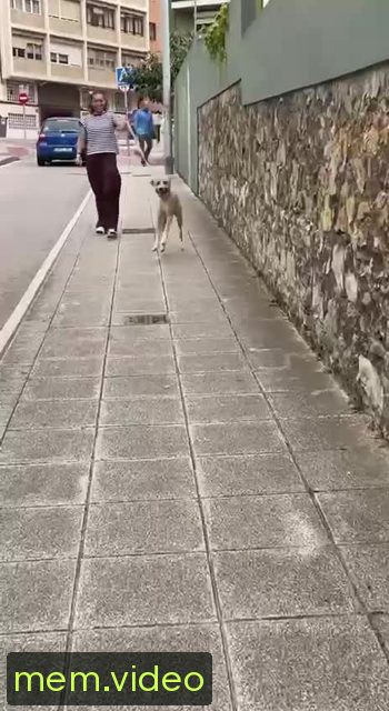 Кадр на 0:02