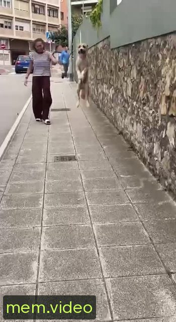 Кадр на 0:03